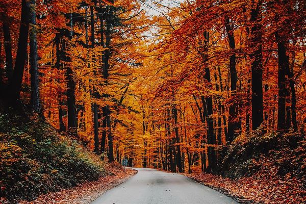 Gode idéer til hvad du kan lave i din efterårsferie