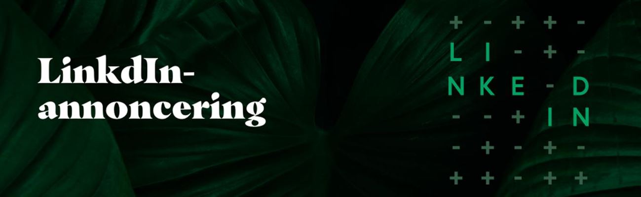 LinkedIn annoncering kan skabe resultater for din virksomhed