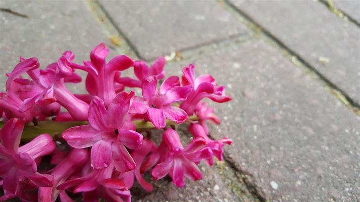 GrusDirekte.dk forhandler hårdført stenmel