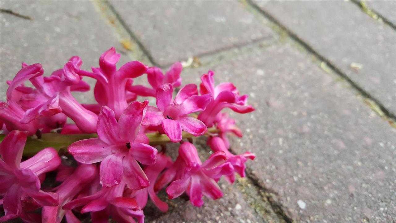 GrusDirekte.dk forhandler hårdført stenmel