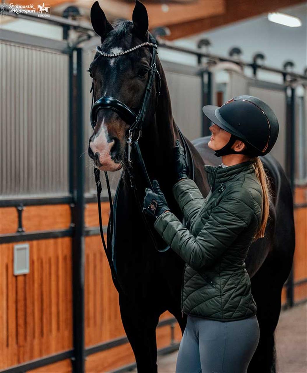 Se udvalget af vetcur til hest – mypets.dk